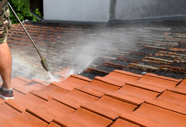 Best Best Pressure Washing Companies  in Palm Harbor, FL