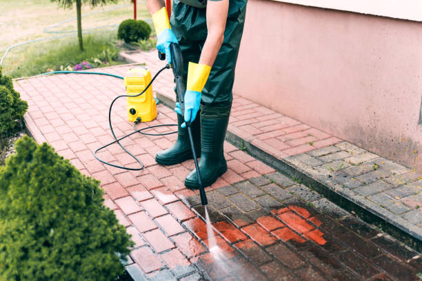 Best Pressure Washing Patio  in Palm Harbor, FL