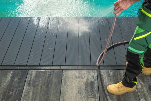 Best Local Pressure Washing Services  in Palm Harbor, FL