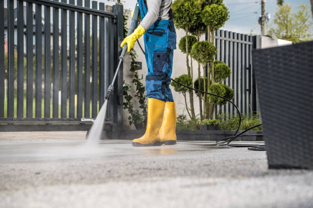 Why Choose Our Certified Pressure Washing Experts for Your Project Needs in Palm Harbor, FL?