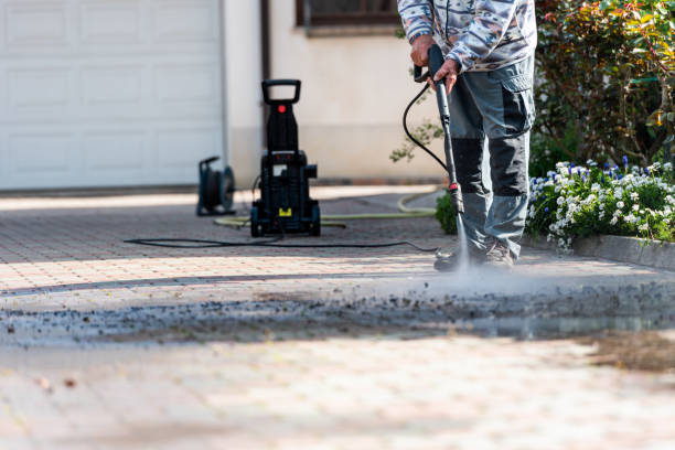 Best Local Pressure Washing Services  in Palm Harbor, FL