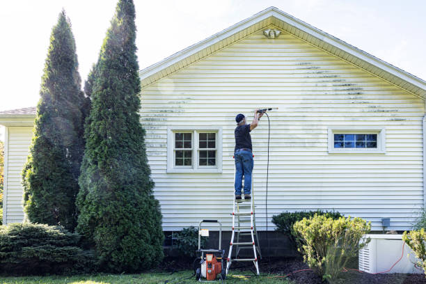 Best Deck Pressure Washing  in Palm Harbor, FL