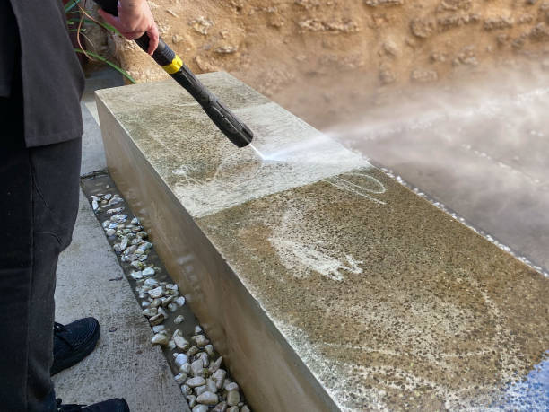 Best Sidewalk Pressure Washing  in Palm Harbor, FL