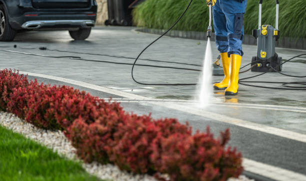 Pressure Washing Services for Businesses in Palm Harbor, FL
