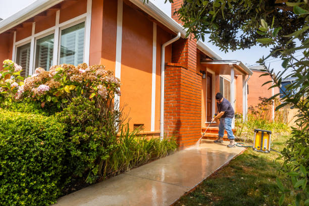 Best Pressure Washing Contractors  in Palm Harbor, FL