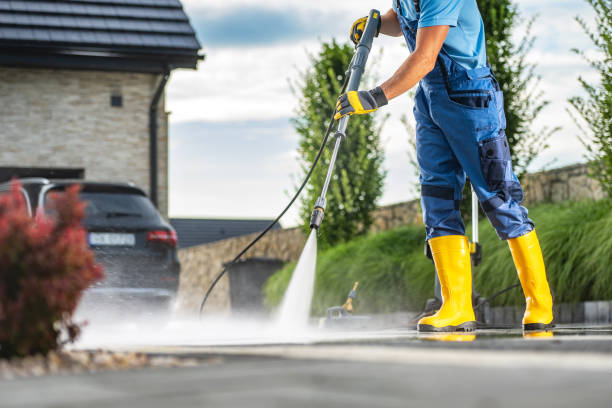Best Roof Pressure Washing  in Palm Harbor, FL