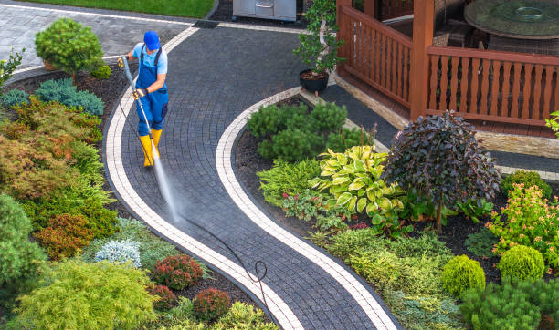 Deck Cleaning Services in Palm Harbor, FL