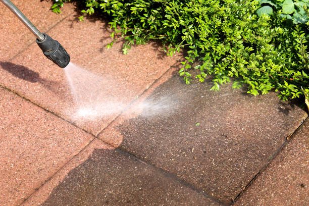 Best Pressure Washing Near Me  in Palm Harbor, FL