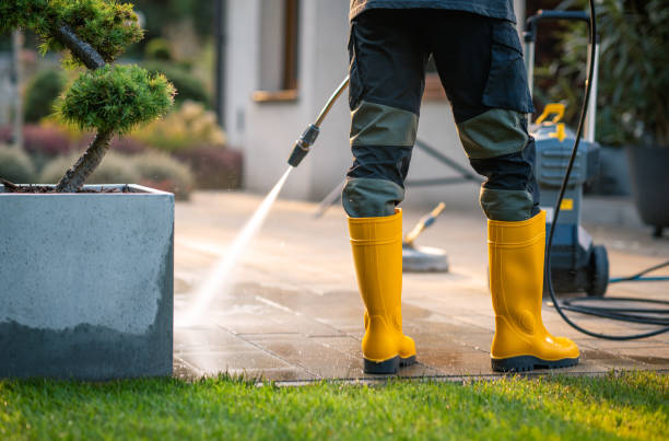 Best Local Pressure Washing Services  in Palm Harbor, FL